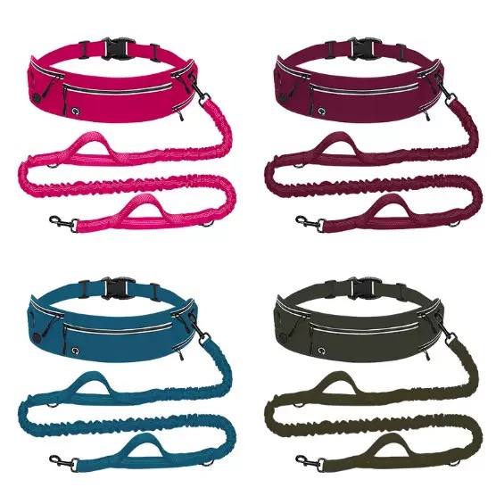 Pet Leash for Running with Wai - Sports Equipment Set review and price